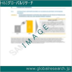グローバルリサーチ調査レポートのイメージ